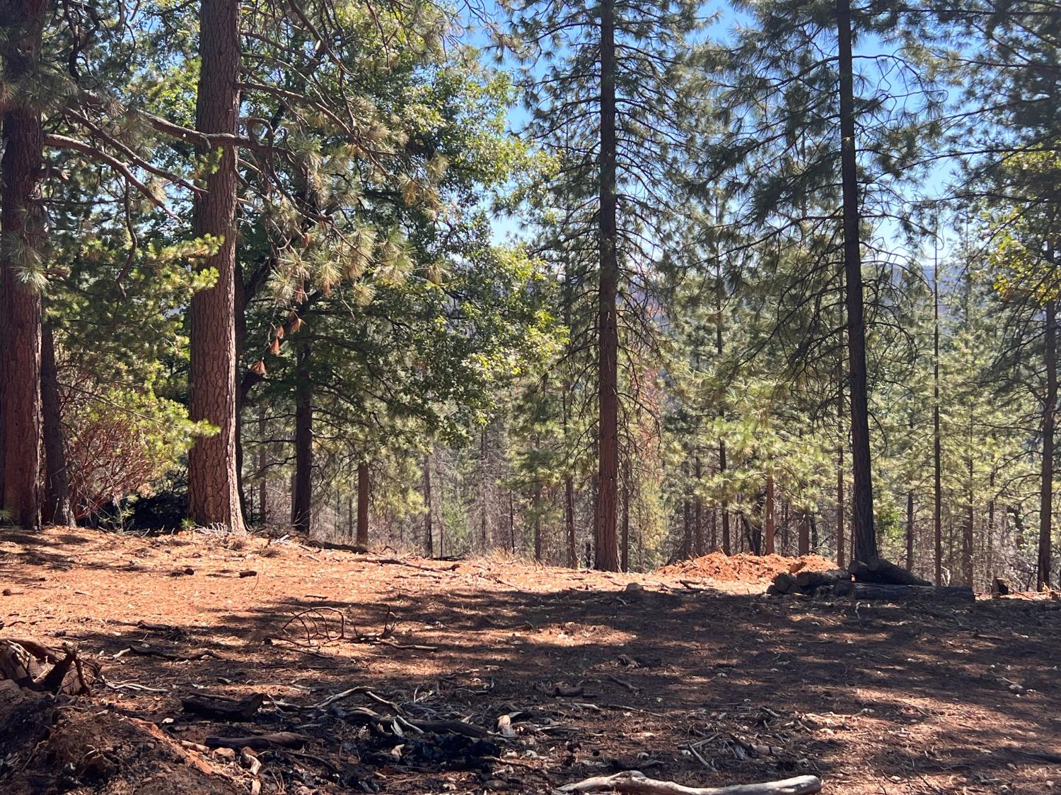 Photo of 5719 Wildrose Dr in Grizzly Flats, CA