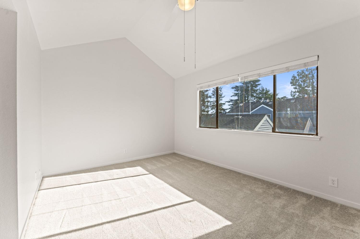 Photo #22: 223089680 Listing: Photo #22