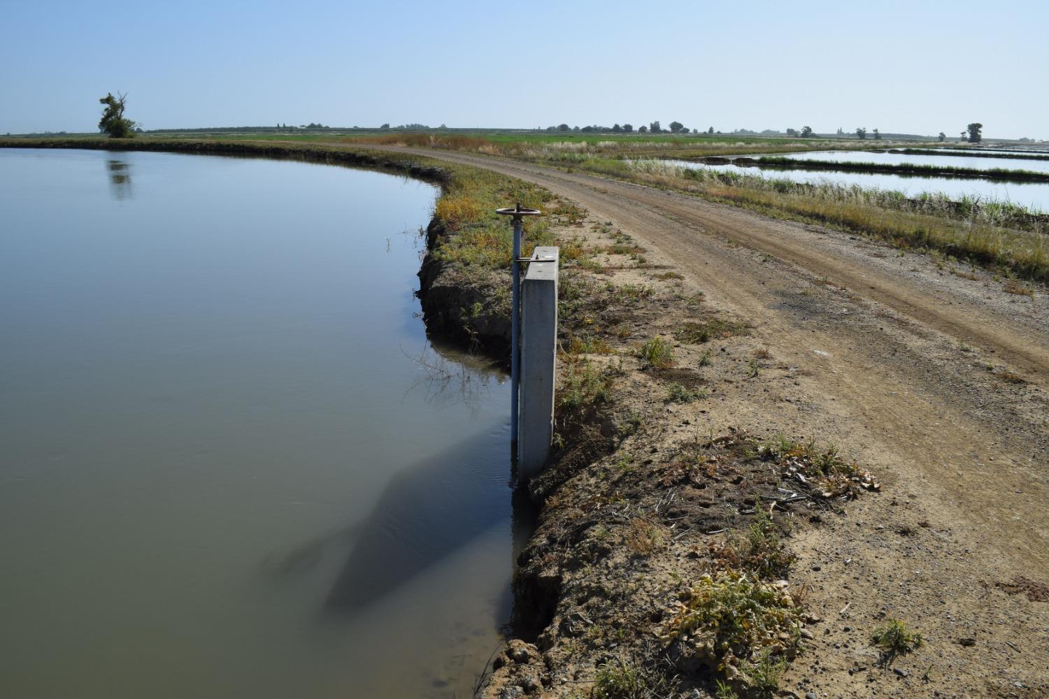 Mcdermott Road, Maxwell, California image 8