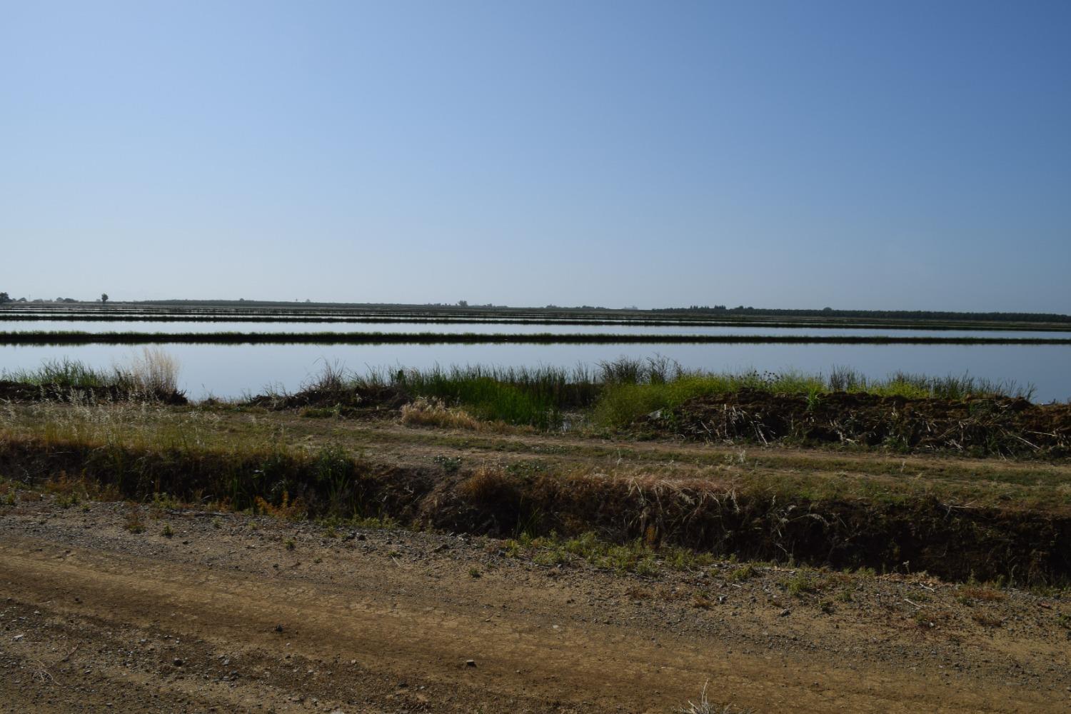 Mcdermott Road, Maxwell, California image 9