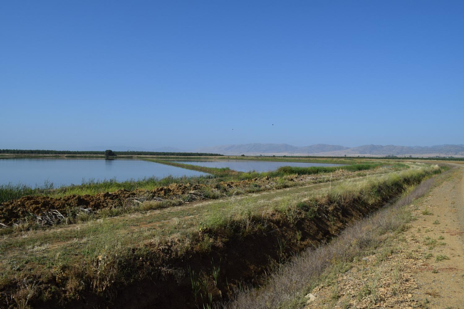 Mcdermott Road, Maxwell, California image 10