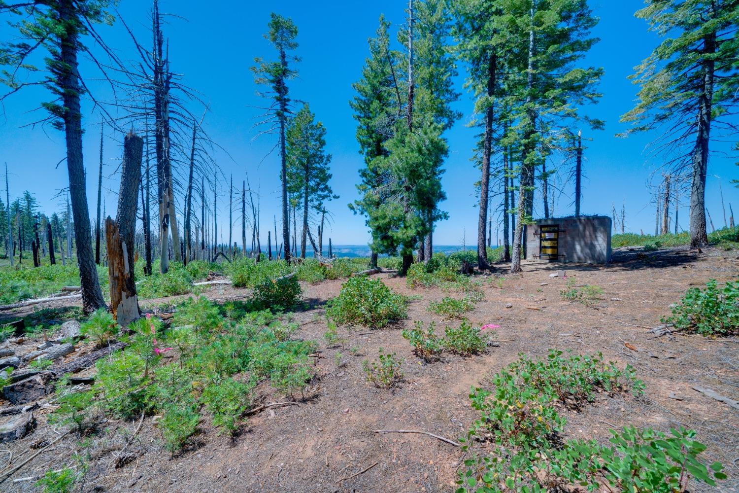 Detail Gallery Image 12 of 55 For 0 75 Acres East of Foresthill, Emigrant Gap,  CA 95715 - – Beds | – Baths