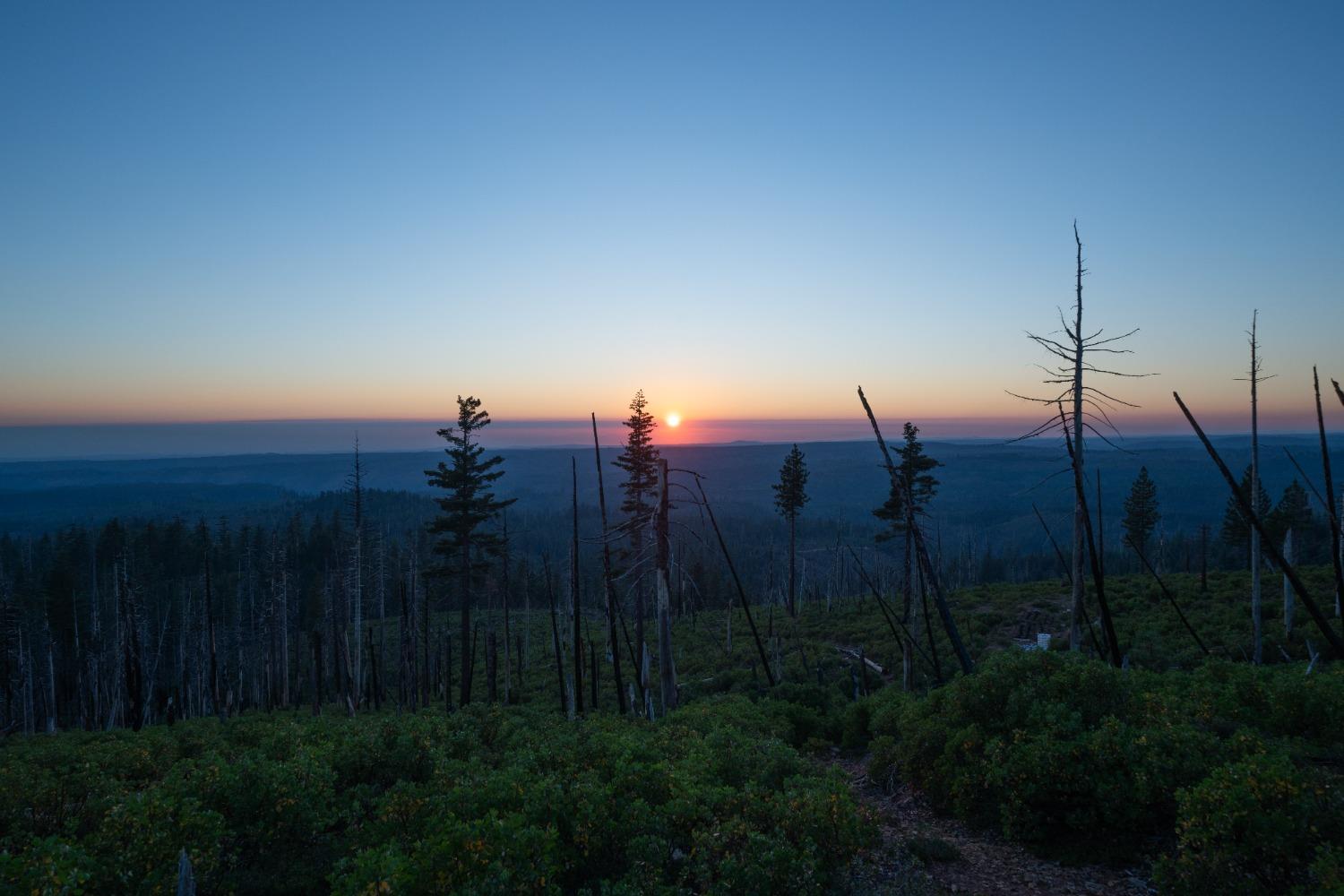 75 Acres East Of Foresthill, Emigrant Gap, California image 5