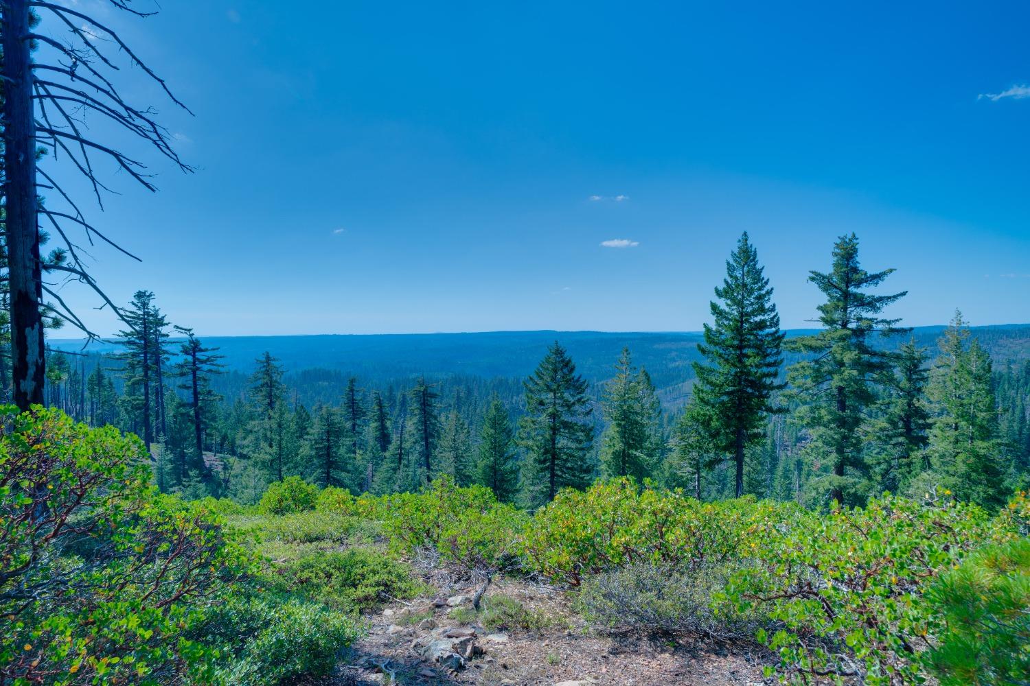 Detail Gallery Image 25 of 55 For 0 75 Acres East of Foresthill, Emigrant Gap,  CA 95715 - – Beds | – Baths
