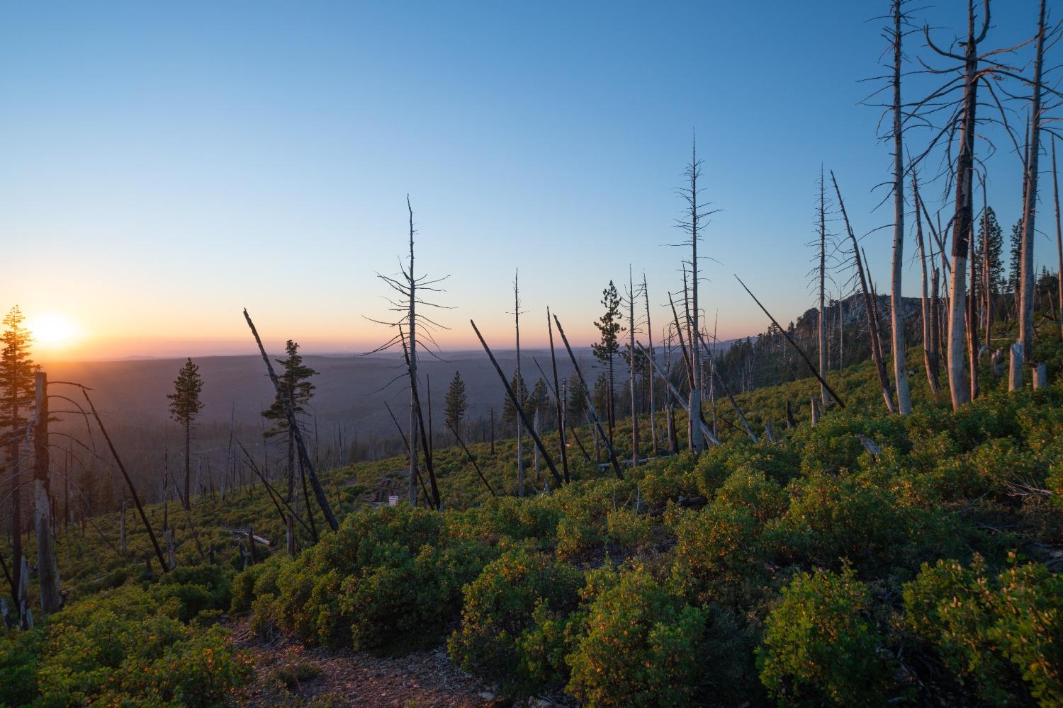 75 Acres East Of Foresthill, Emigrant Gap, California image 4