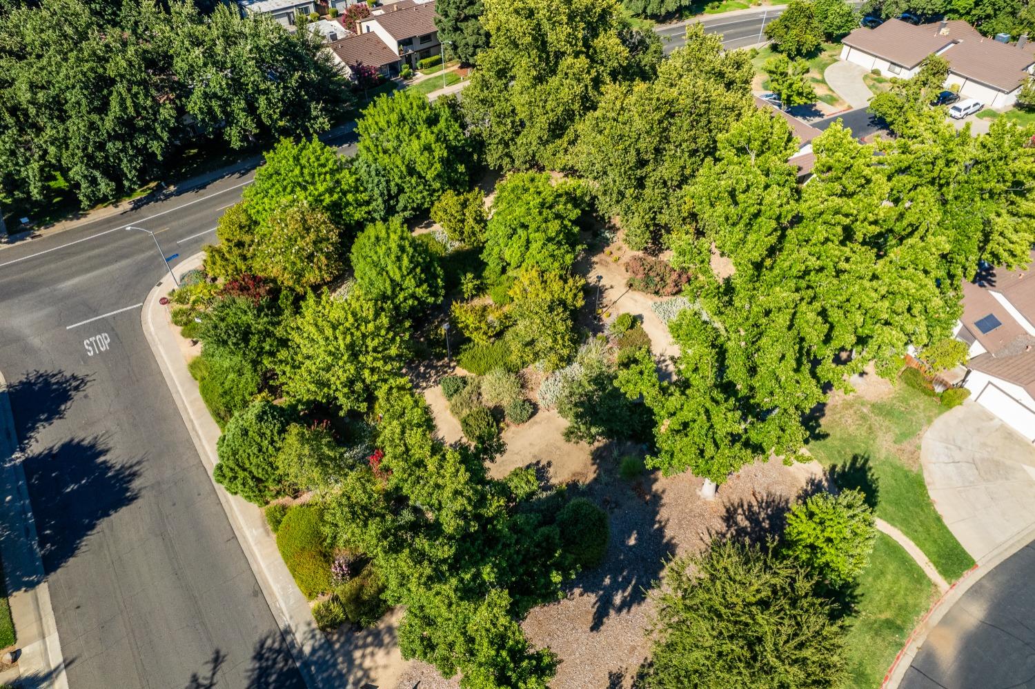 Photo #52: 223089527 Listing: Photo #52