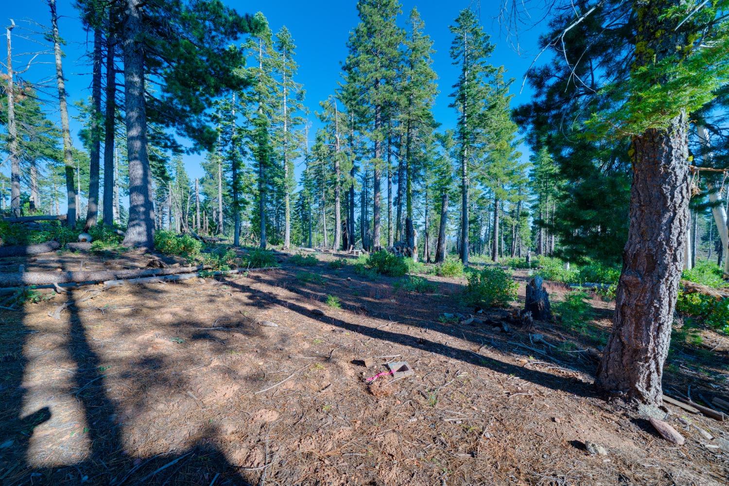 Detail Gallery Image 14 of 55 For 0 75 Acres East of Foresthill, Emigrant Gap,  CA 95715 - – Beds | – Baths