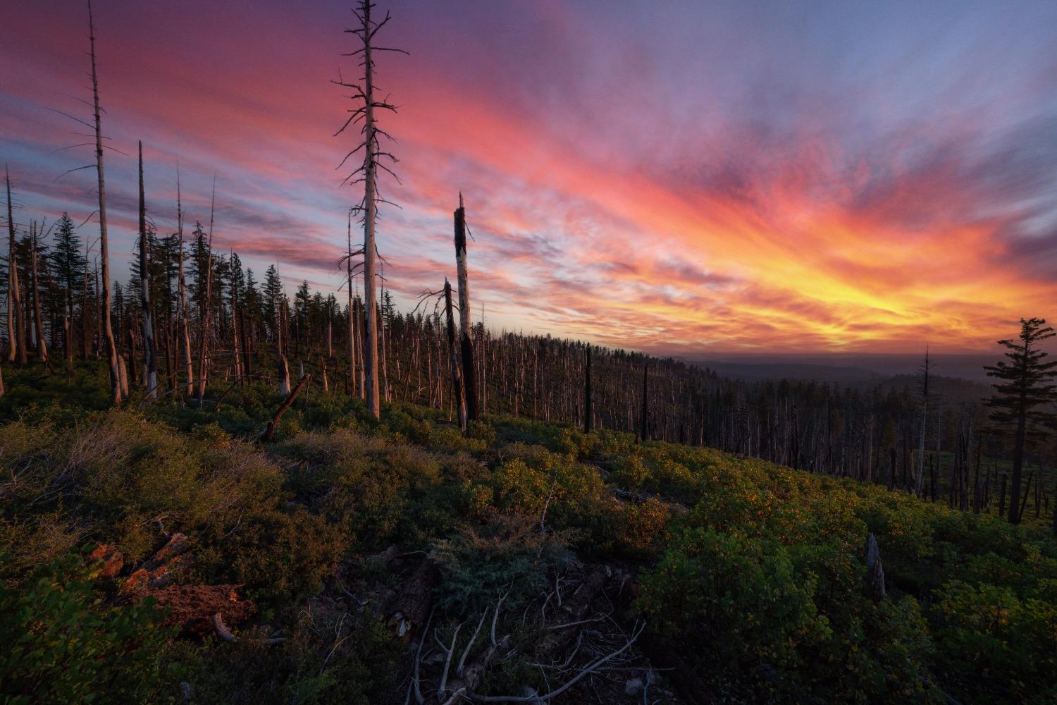 75 Acres East Of Foresthill, Emigrant Gap, California image 3