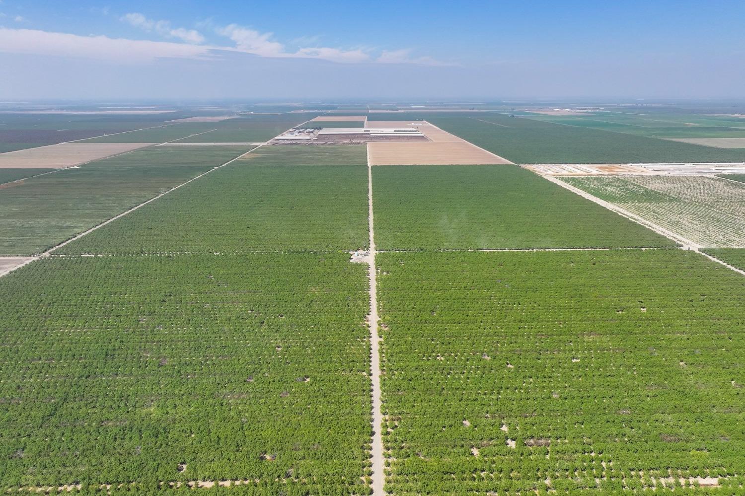 Road 9, Firebaugh, California image 3