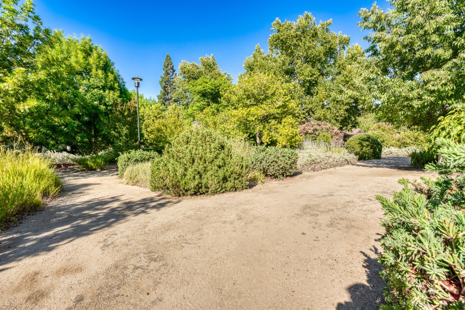 Photo #59: 223089527 Listing: Photo #59