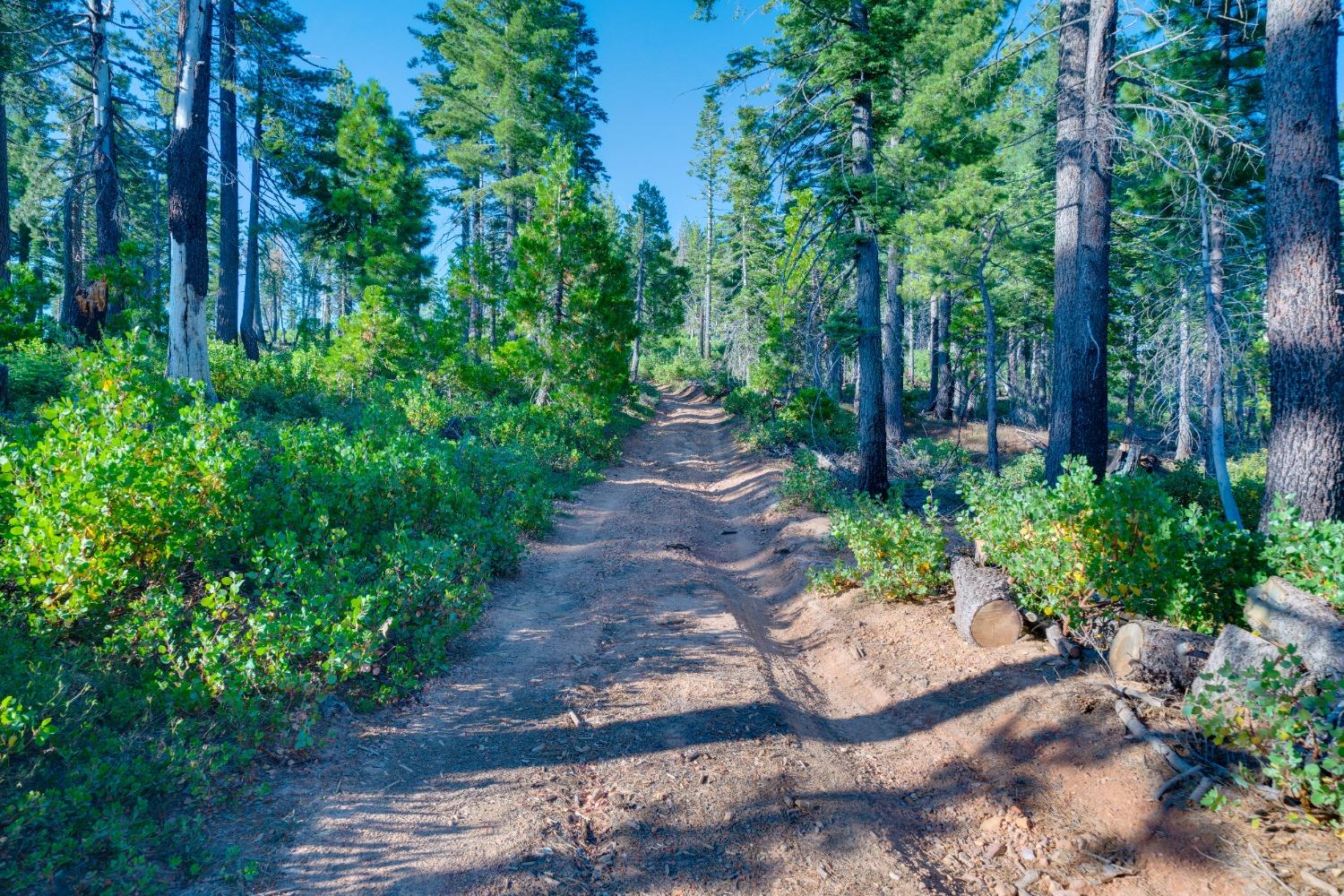 75 Acres East Of Foresthill, Emigrant Gap, California image 45