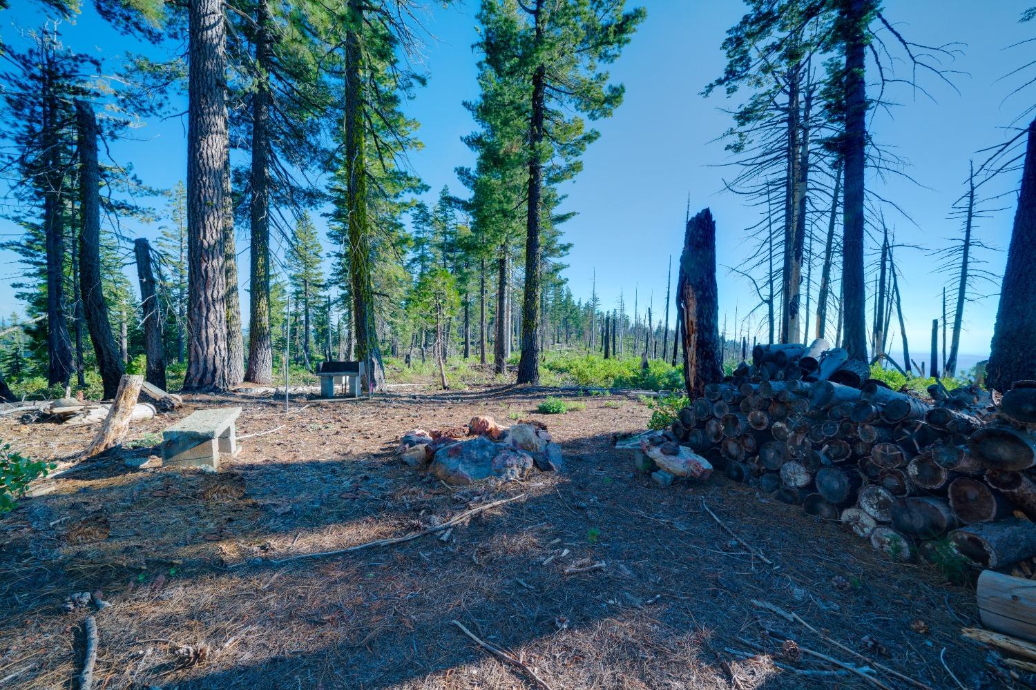 75 Acres East Of Foresthill, Emigrant Gap, California image 17