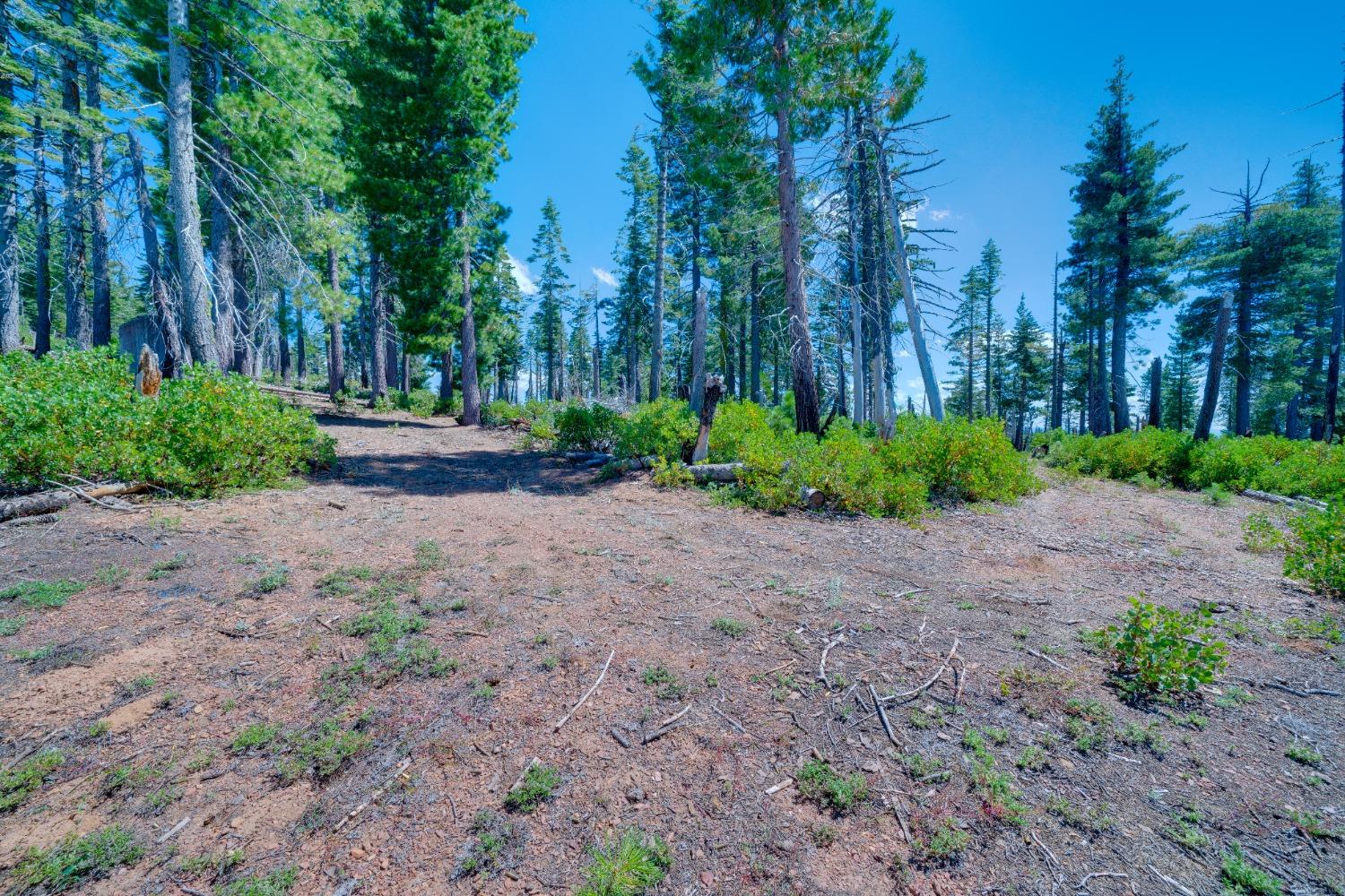 Detail Gallery Image 23 of 55 For 0 75 Acres East of Foresthill, Emigrant Gap,  CA 95715 - – Beds | – Baths