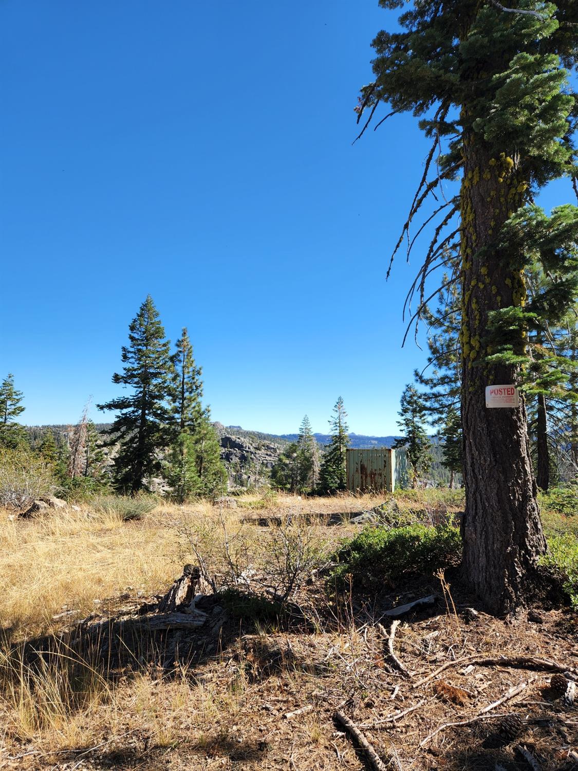 Forest Route 19, Emigrant Gap, California image 11