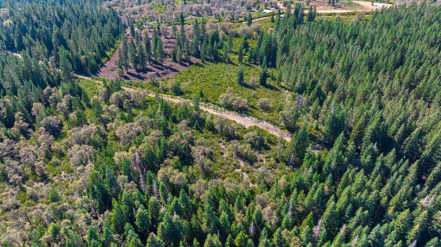 Kearsarge Mill Road, Emigrant Gap, California image 16