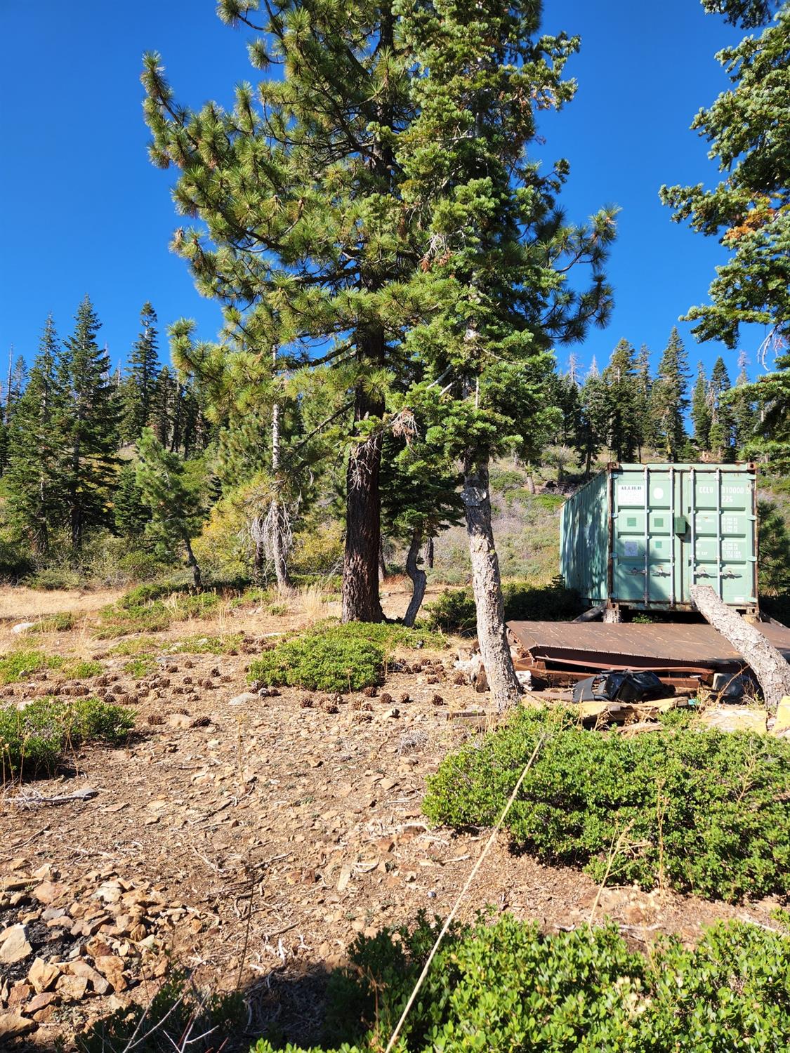 Forest Route 19, Emigrant Gap, California image 5