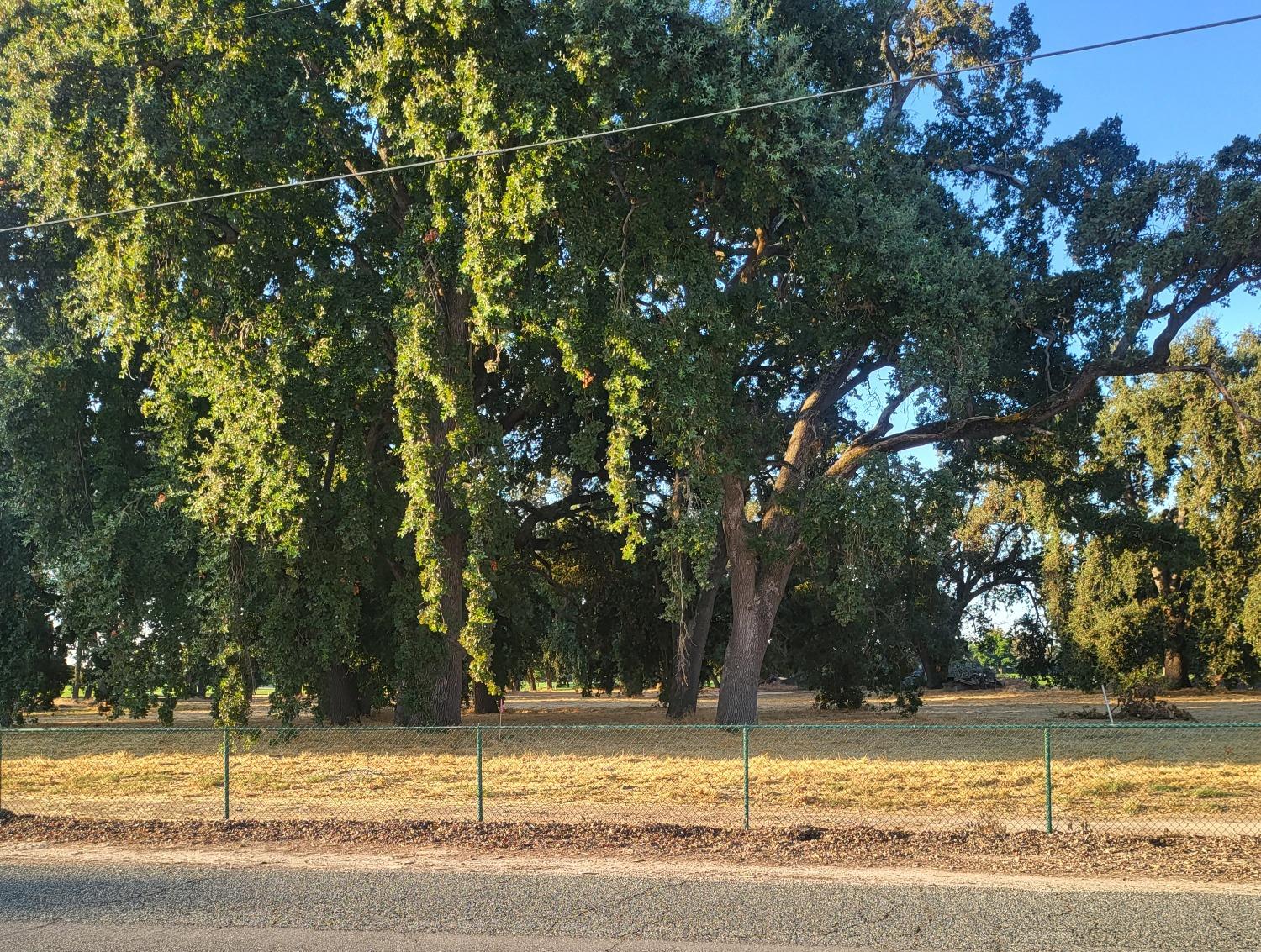 Lee Road, Nicolaus, California image 6