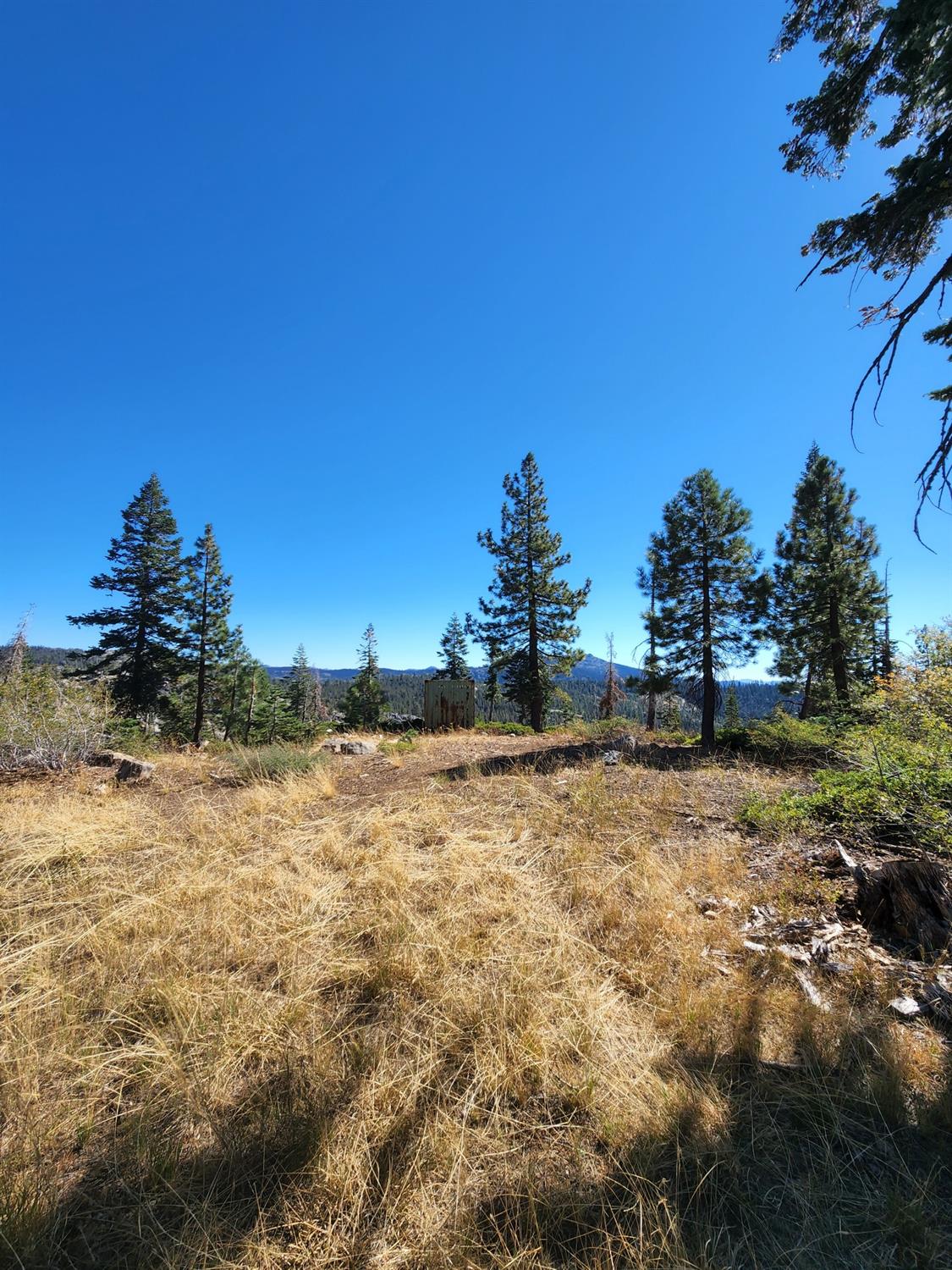 Forest Route 19, Emigrant Gap, California image 17