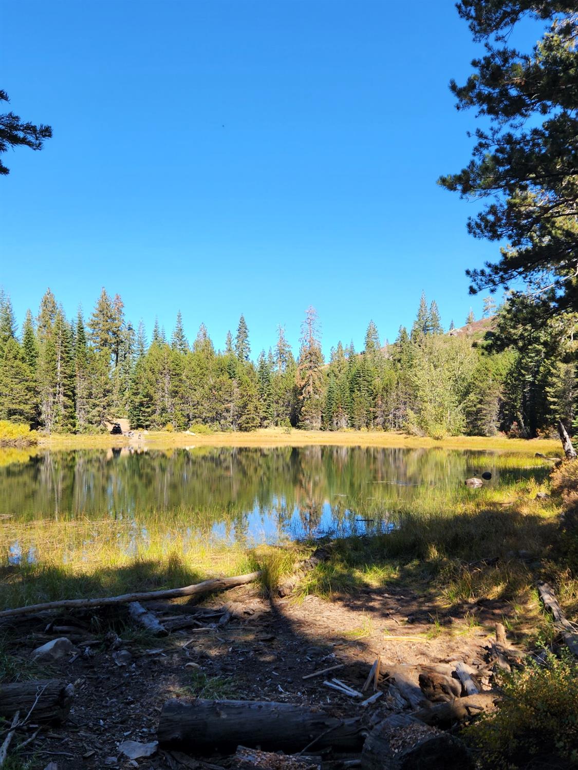 Forest Route 19, Emigrant Gap, California image 17