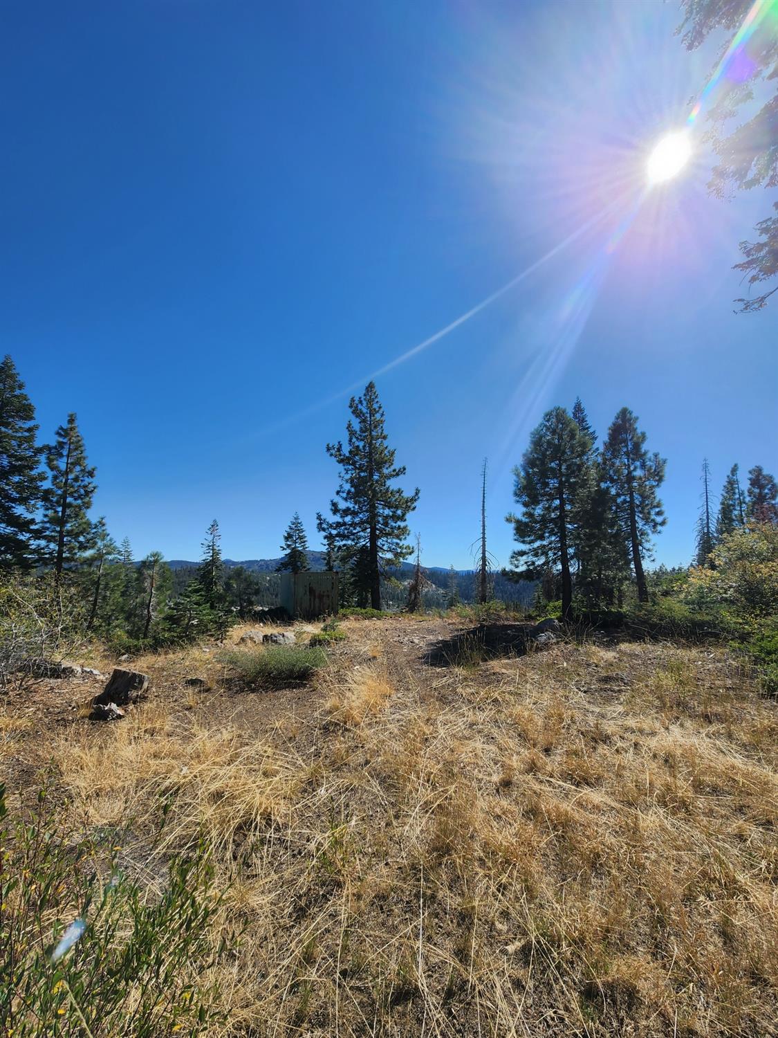 Forest Route 19, Emigrant Gap, California image 10