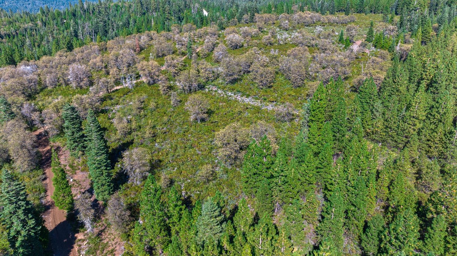 Kearsarge Mill Road, Emigrant Gap, California image 13