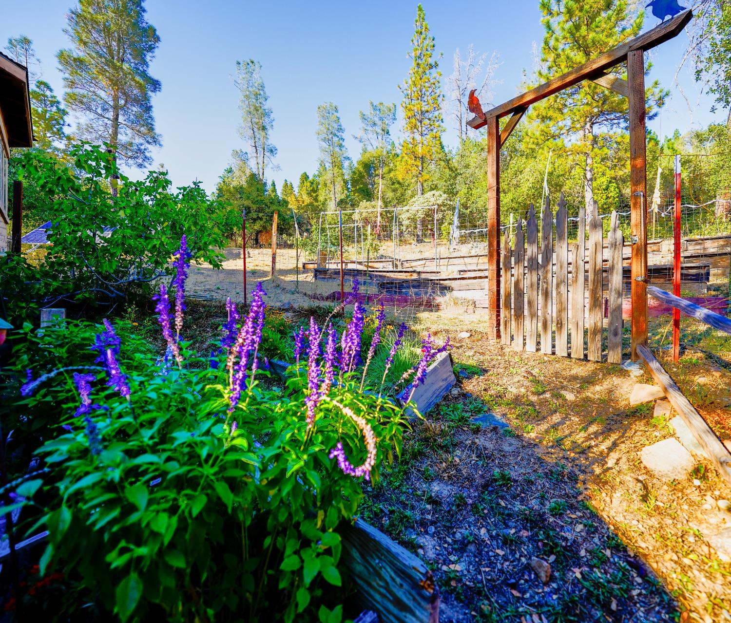 Indian Flat Road #ADU, Nevada City, California image 21