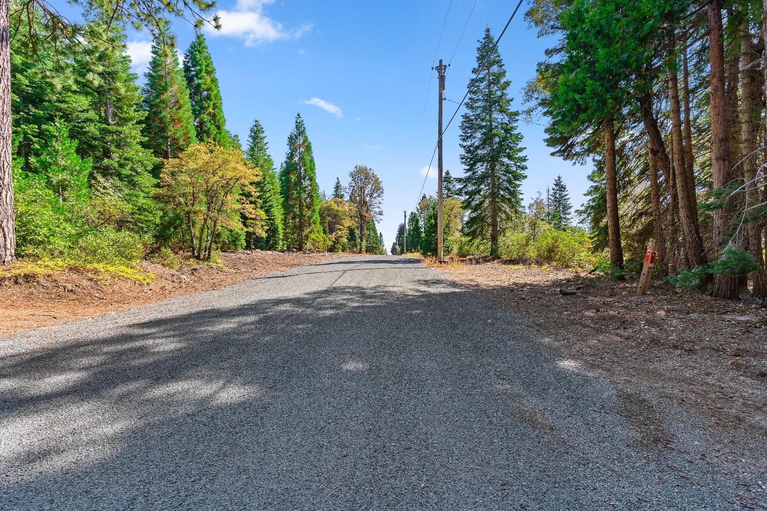 Kearsarge Mill Road, Emigrant Gap, California image 34