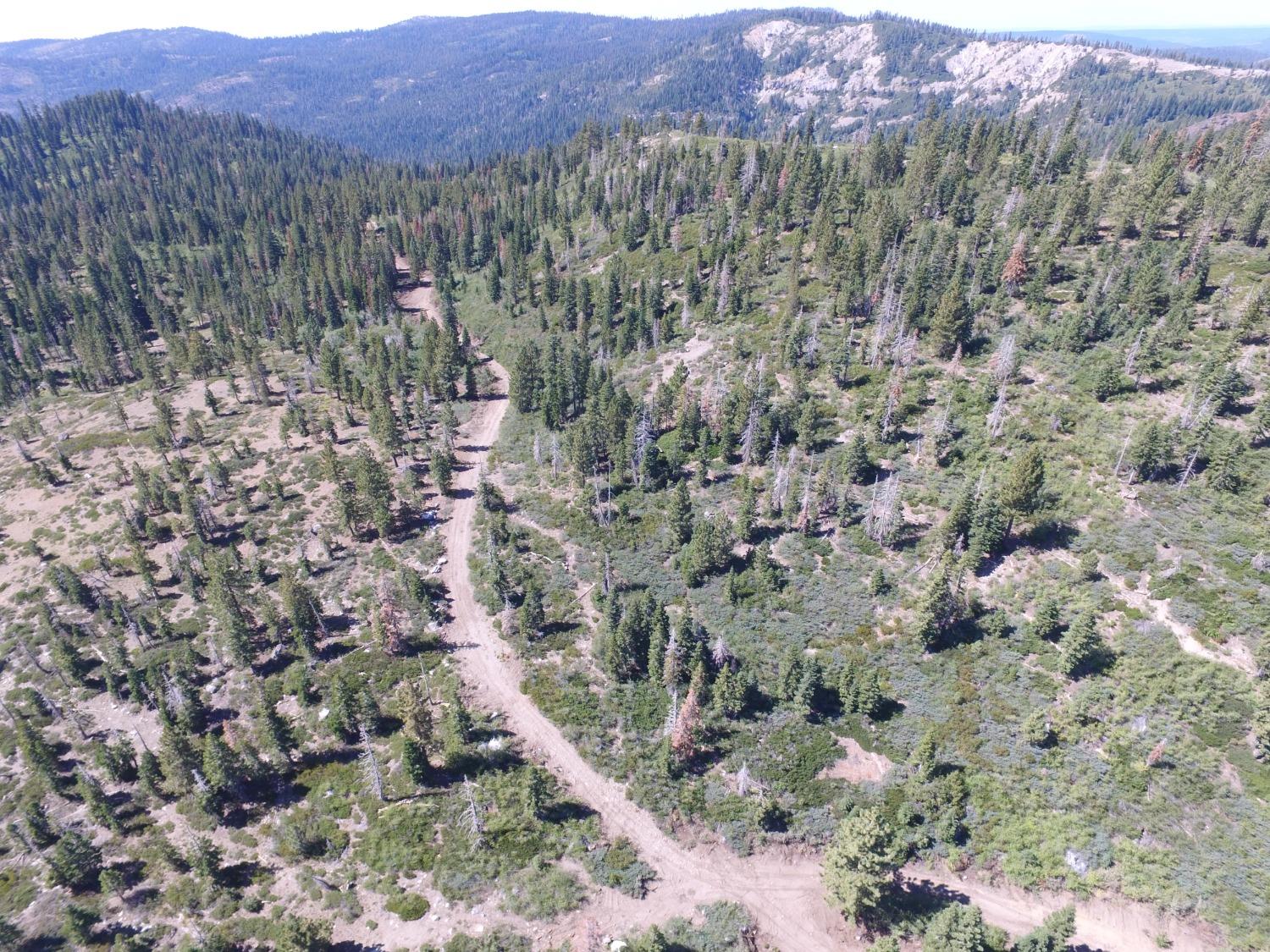 Forest Route 19, Emigrant Gap, California image 30