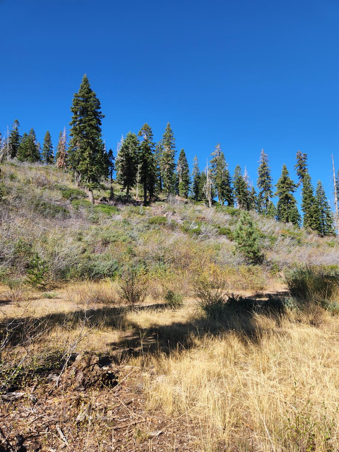 Forest Route 19, Emigrant Gap, California image 12