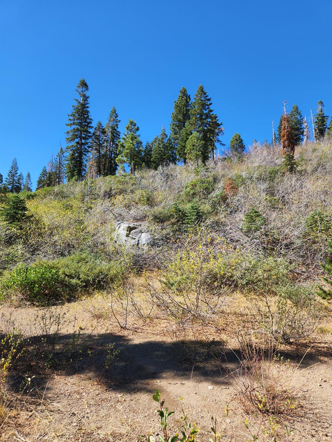 Forest Route 19, Emigrant Gap, California image 20