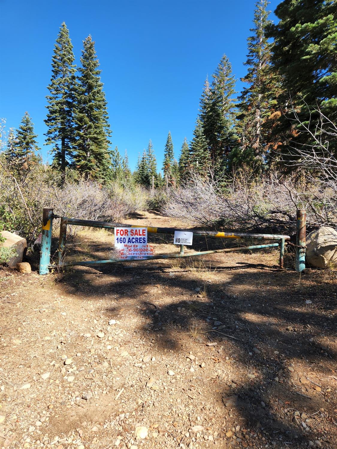 Forest Route 19, Emigrant Gap, California image 2