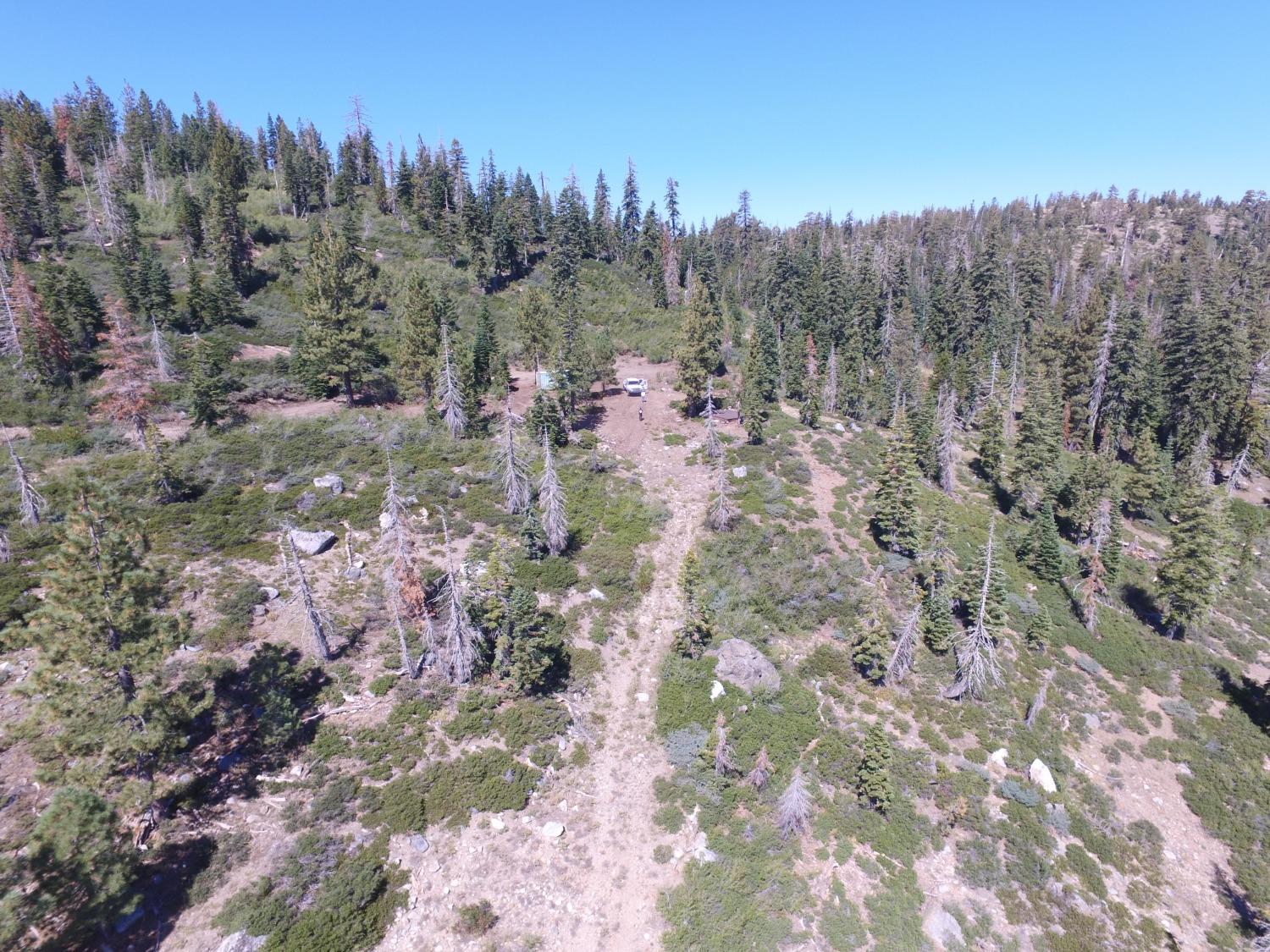 Forest Route 19, Emigrant Gap, California image 19