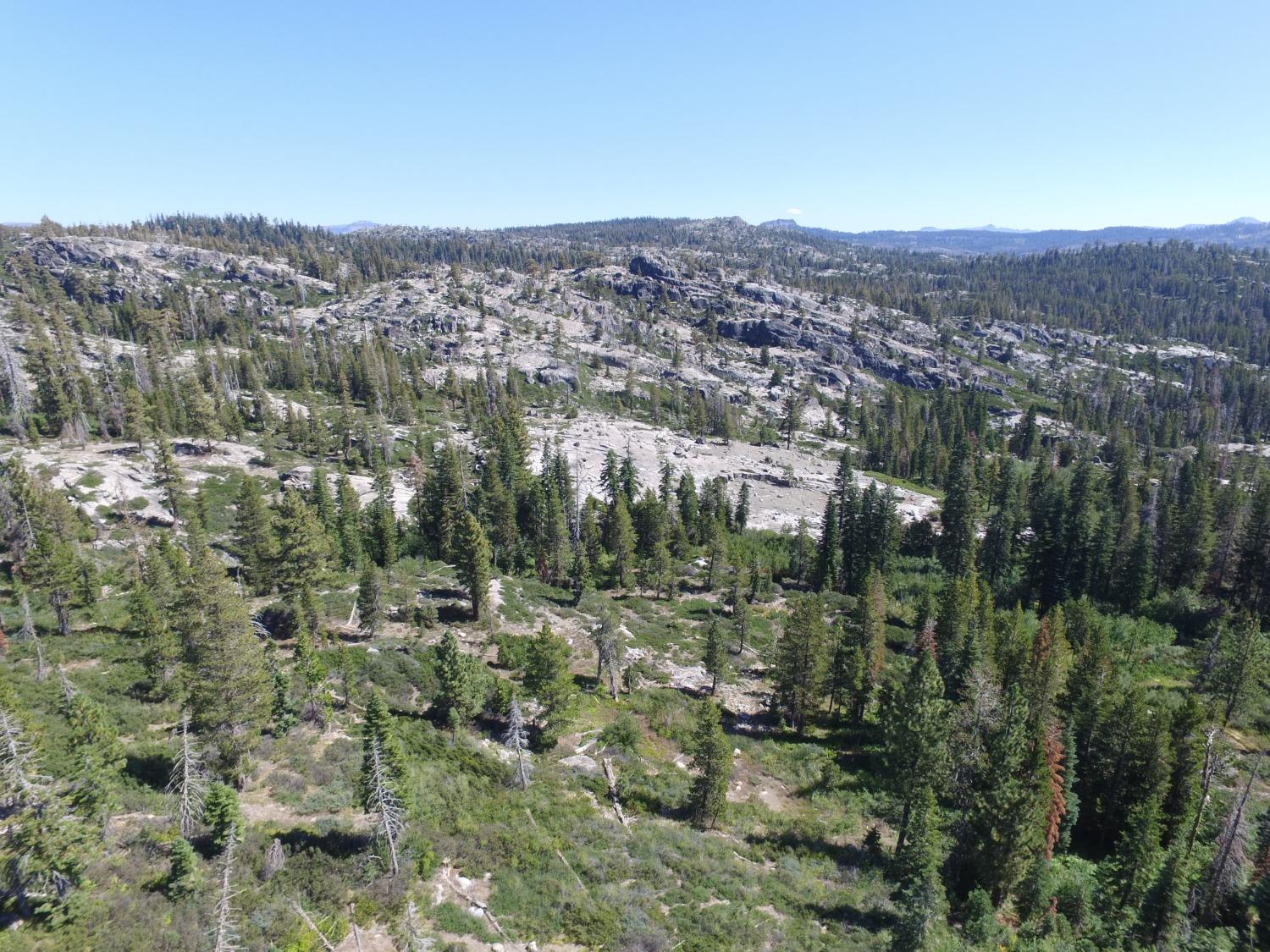 Forest Route 19, Emigrant Gap, California image 29