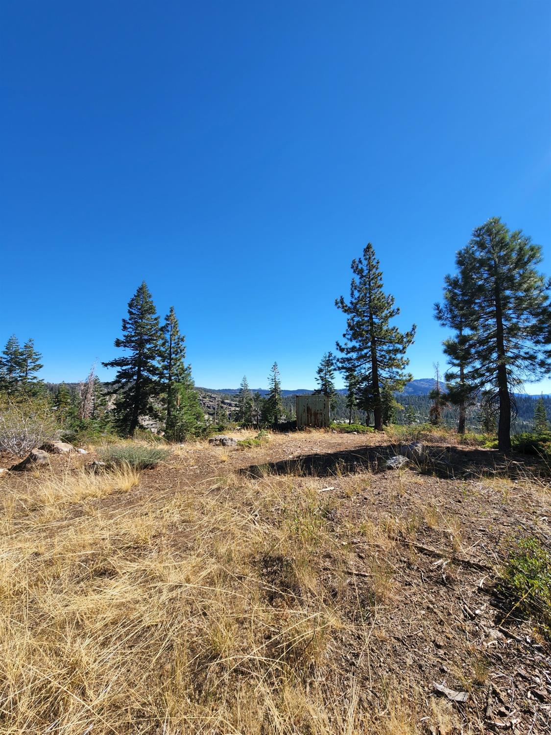 Forest Route 19, Emigrant Gap, California image 14