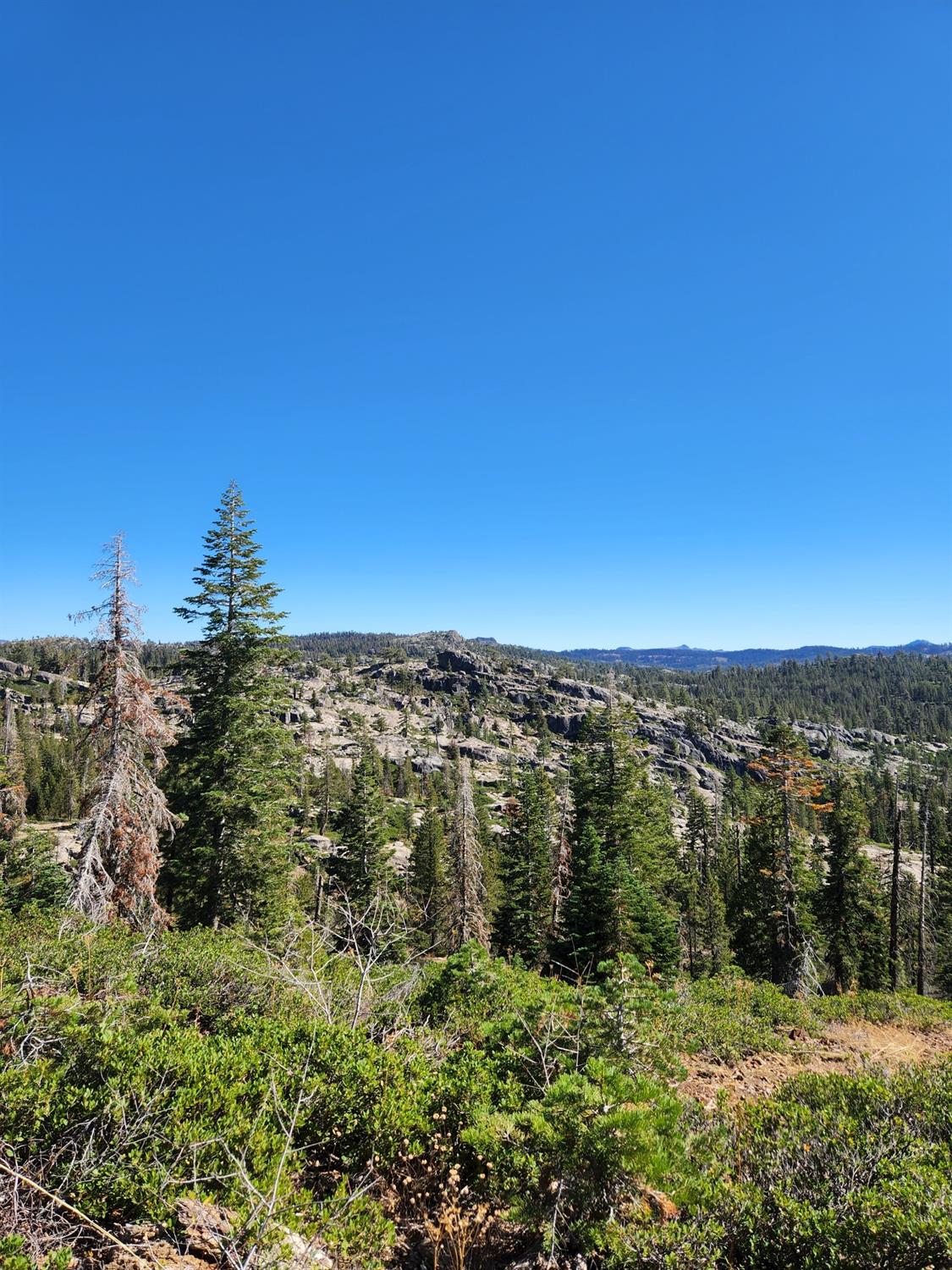 Forest Route 19, Emigrant Gap, California image 3