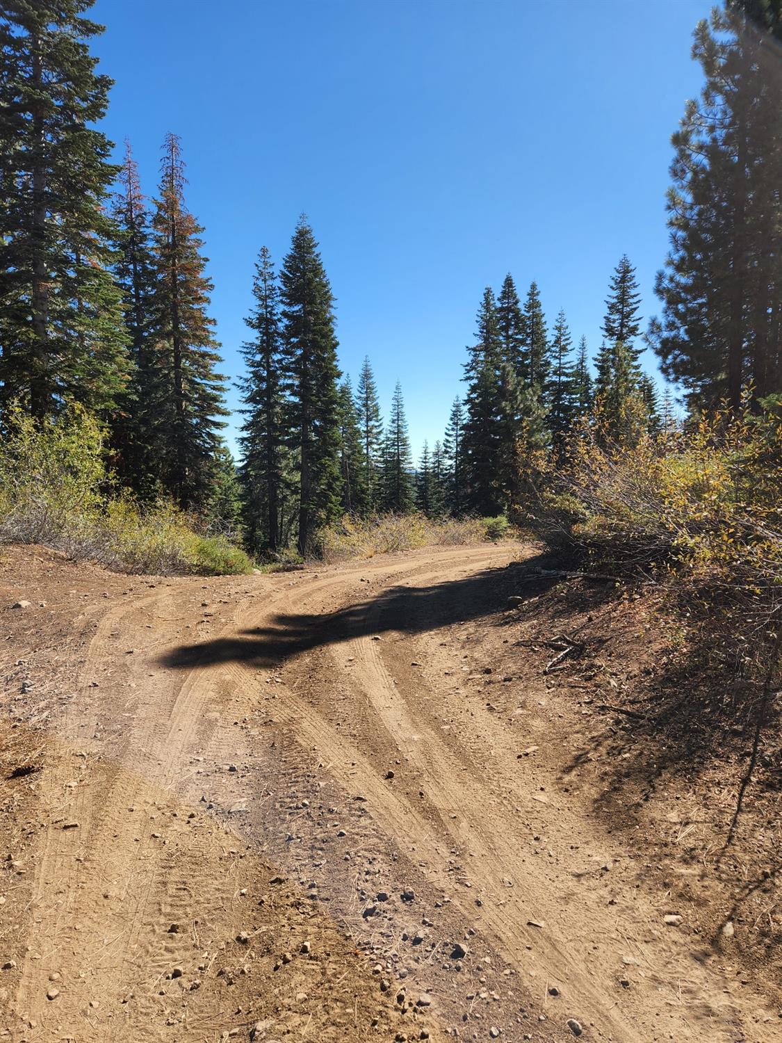 Forest Route 19, Emigrant Gap, California image 15