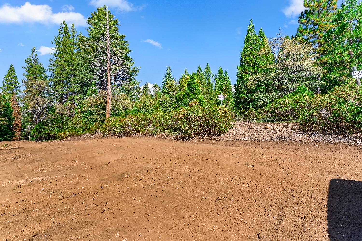 Kearsarge Mill Road, Emigrant Gap, California image 19