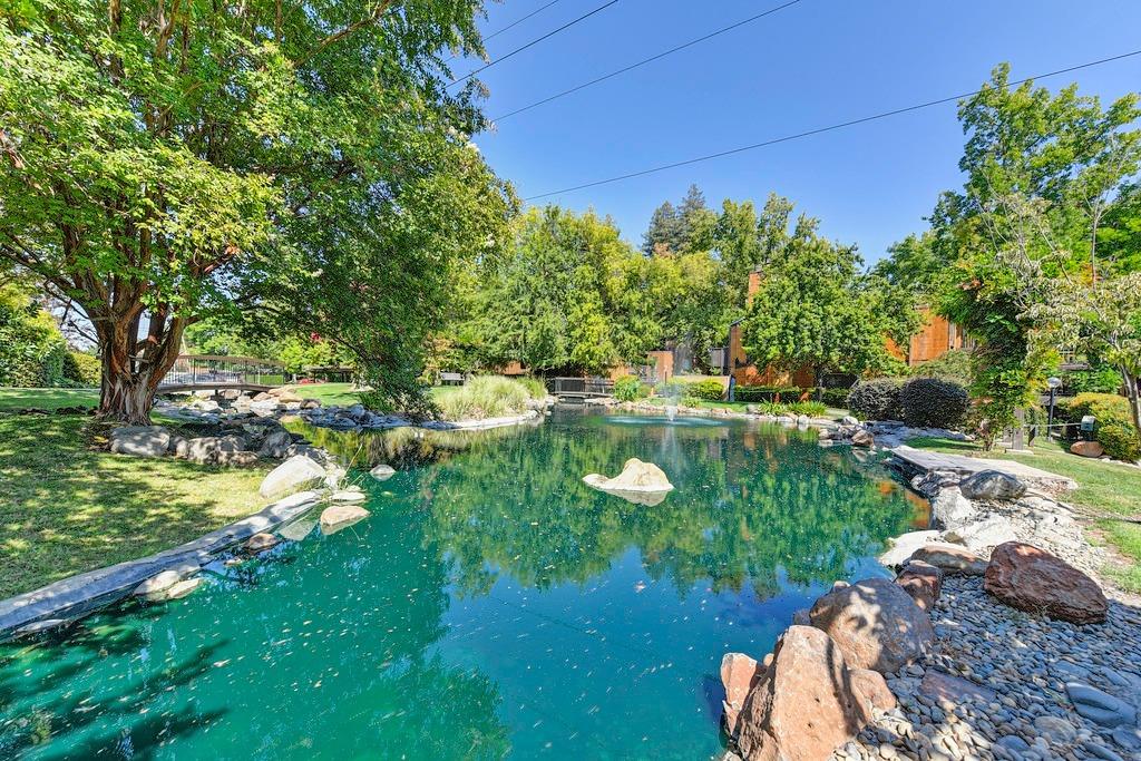 Photo #32: 223089581 Listing: Photo #32