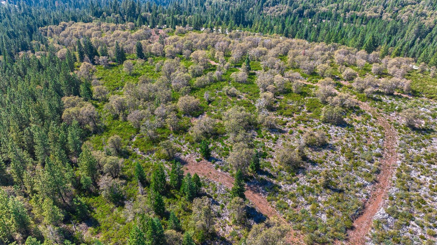 Kearsarge Mill Road, Emigrant Gap, California image 14