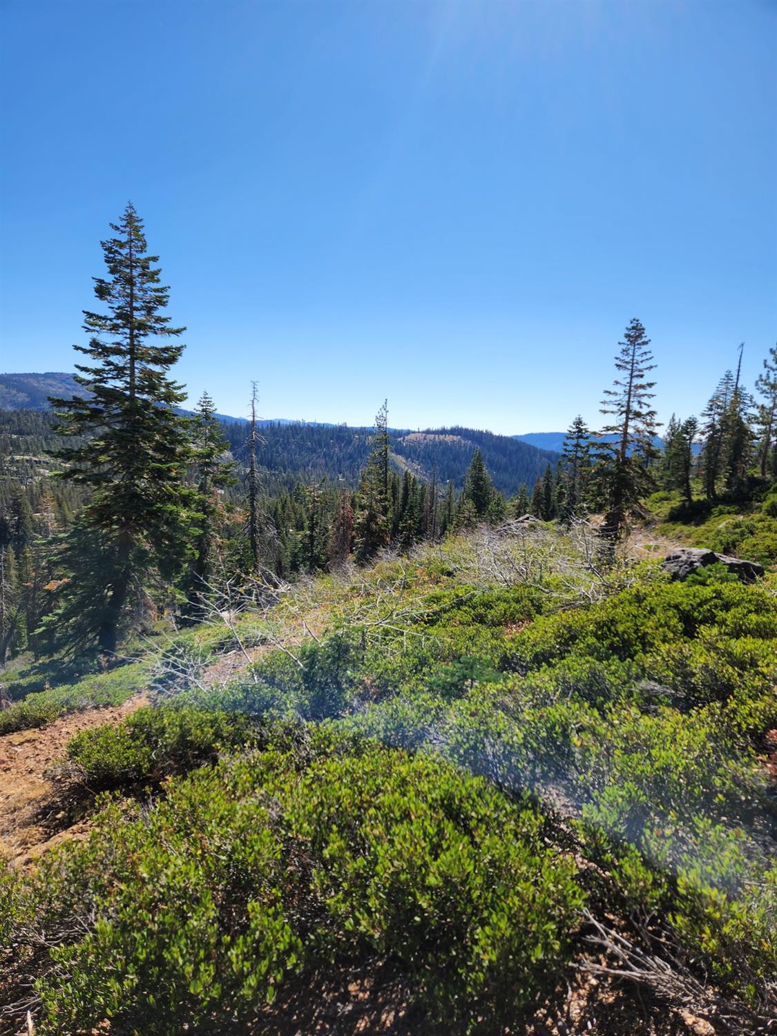 Forest Route 19, Emigrant Gap, California image 8