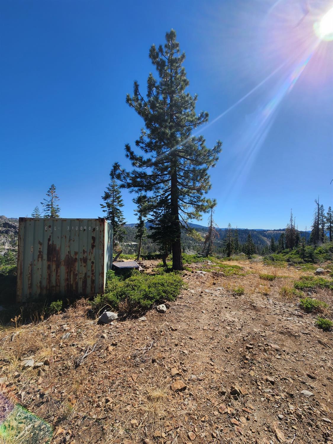 Forest Route 19, Emigrant Gap, California image 9