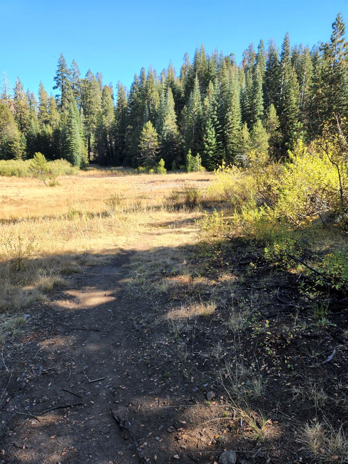 Forest Route 19, Emigrant Gap, California image 7