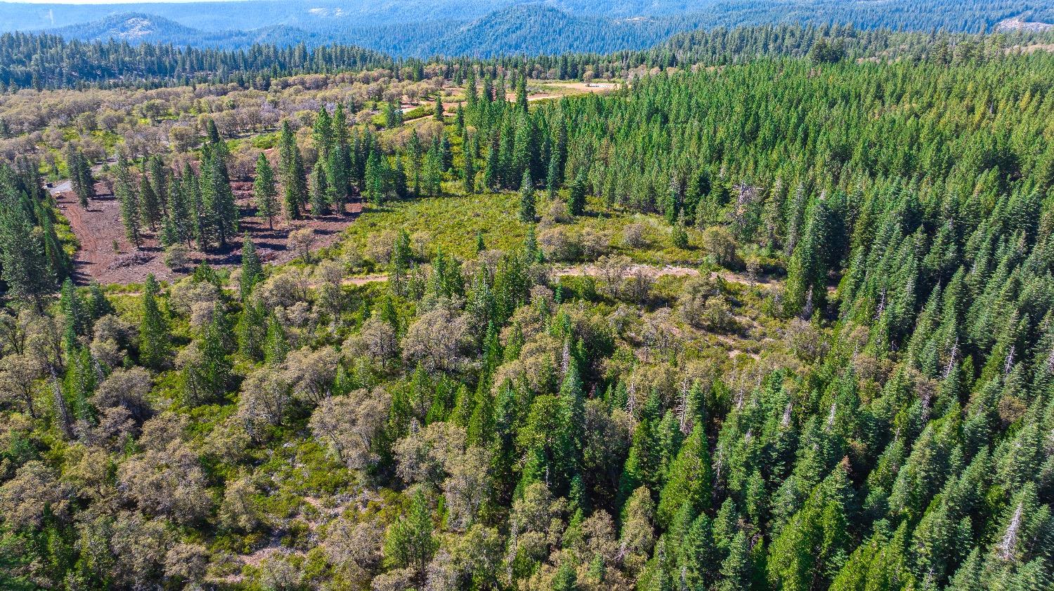 Kearsarge Mill Road, Emigrant Gap, California image 10