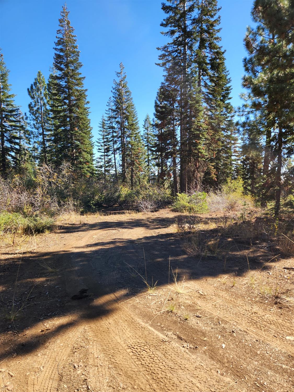 Forest Route 19, Emigrant Gap, California image 16