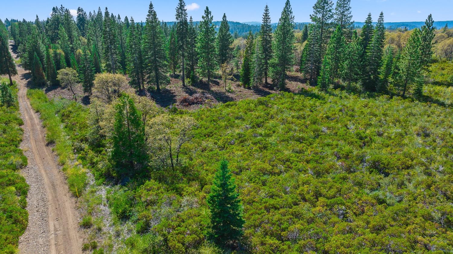 Kearsarge Mill Road, Emigrant Gap, California image 1