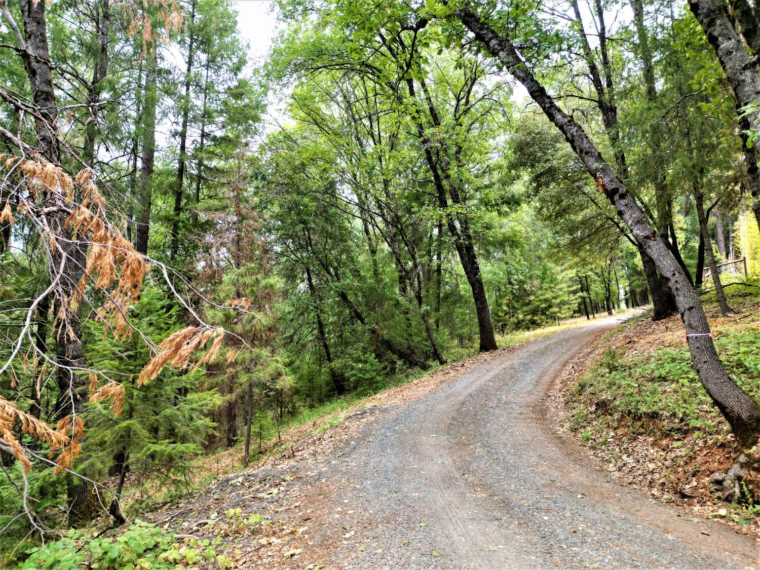 Louis Road, Grass Valley, California image 6