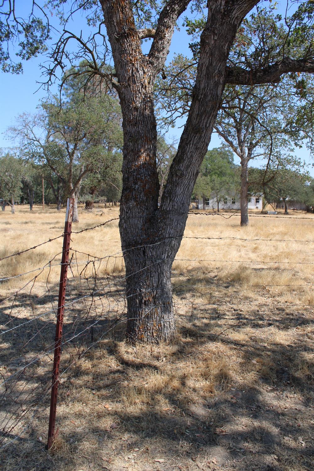 Burson Road, Burson, California image 13