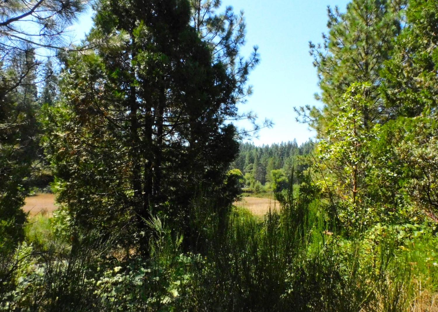 State Highway 193, Garden Valley, California image 7