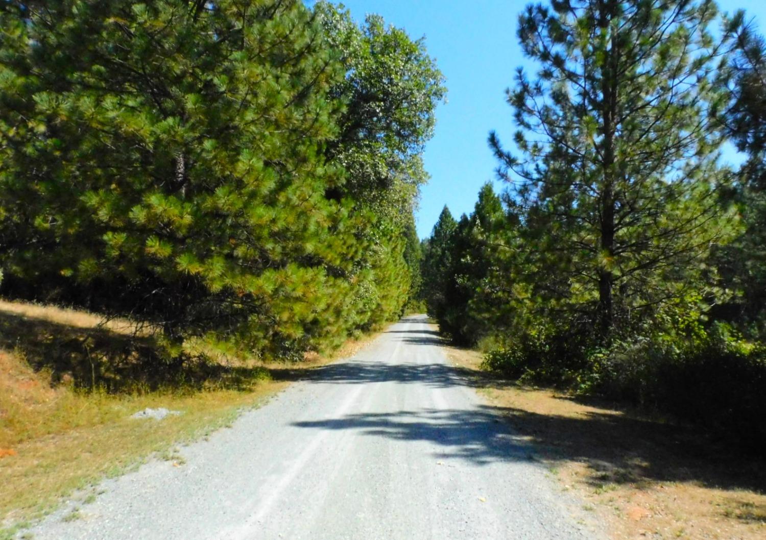 State Highway 193, Garden Valley, California image 17