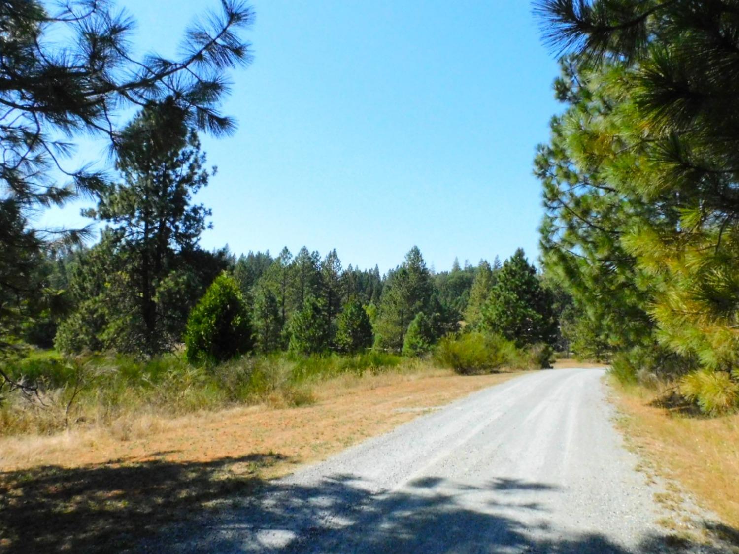 State Highway 193, Garden Valley, California image 5